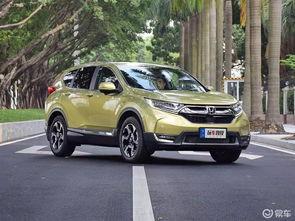 国产在线2019  第3张