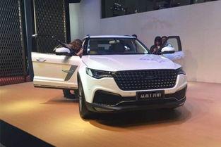 4虎国产视频,激情燃烧的青春岁月  第2张