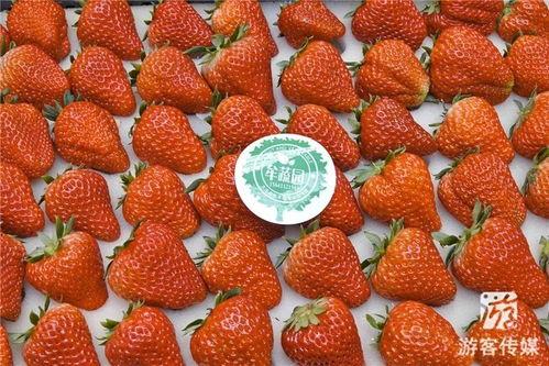 草莓国产在线 第2张 草莓国产在线 第2张