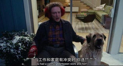 国产一级片儿,揭秘中国电影市场的独特魅力  第2张