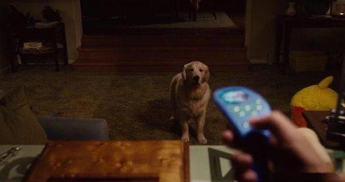 国产一级片儿,揭秘中国电影市场的独特魅力  第3张