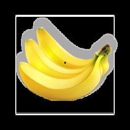 大香蕉国产免费  第2张