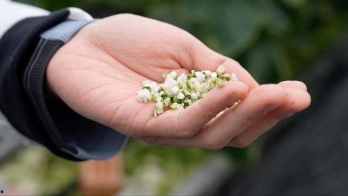 亚洲 国产 熟,国产熟食的崛起与传承